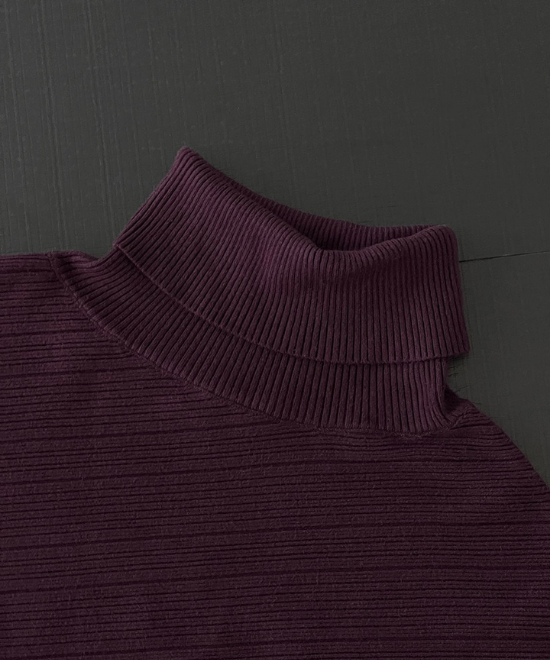 ハイネックドルマンスリーブトップス